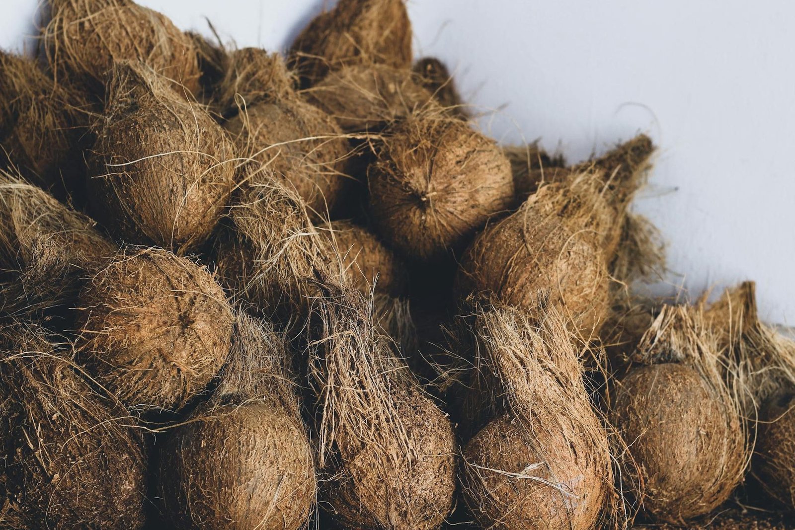 pexels-shutter-speed-ism-6139051